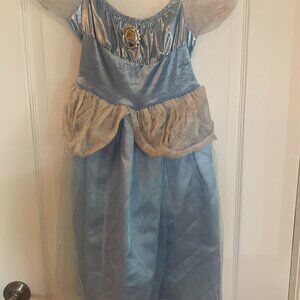Cinderella Dress Up Costume